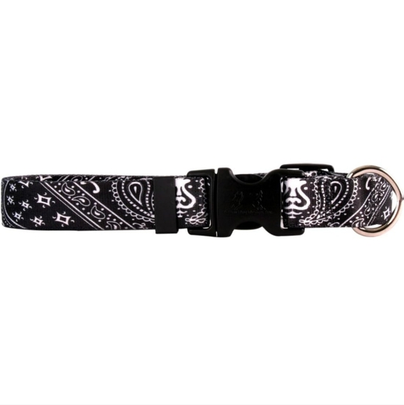 Dog collar - Picture 1 of 1